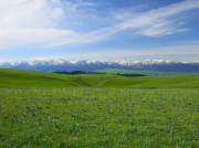 南方清水泵到底有沒有吸程?