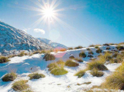 南方潛水電泵的種類有哪些？