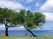 水泵潤(rùn)滑油有哪些作用?